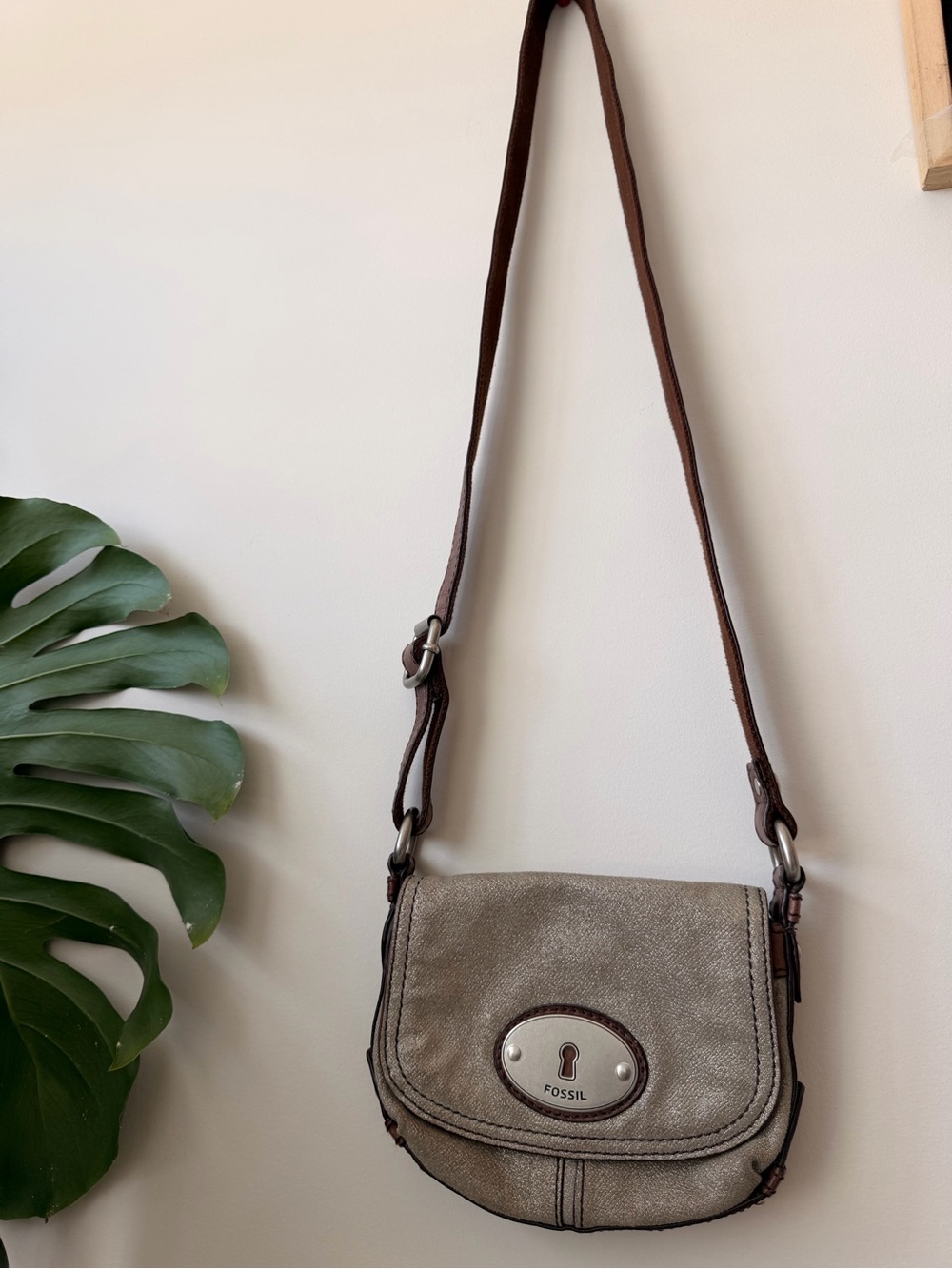 Fossil Taupe Crossbody Bag with Brown Strap